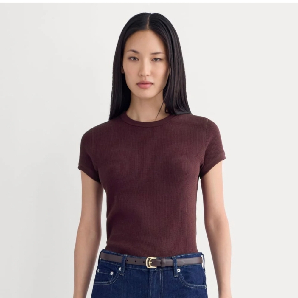 Everlane Shrunken Tee In Cozy Waffle